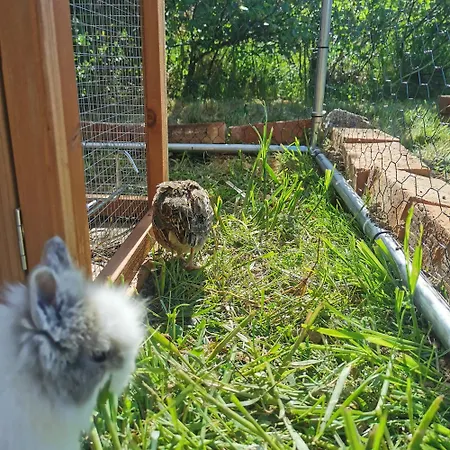 Domek Za Skala Kamesznica Esterno foto